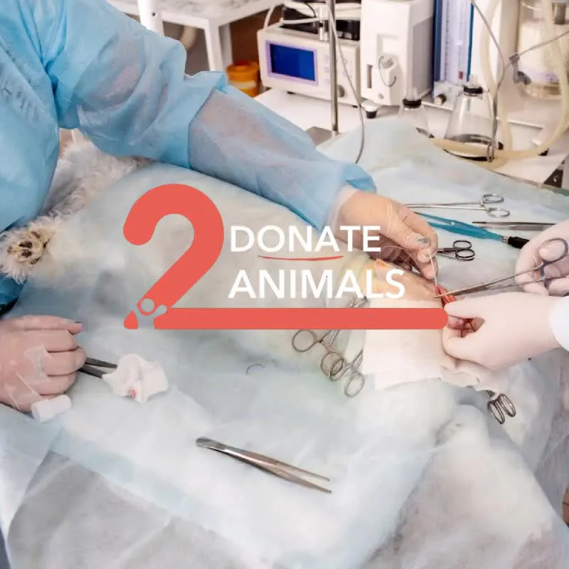Donate Crypto to Pets — animal in our care