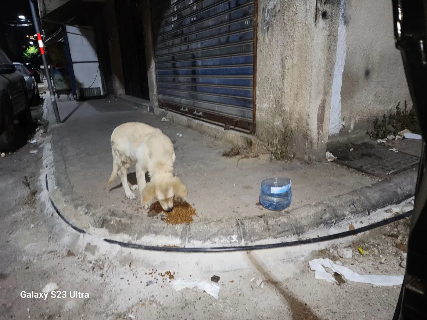Scan a QR to donate USDT to stray dogs (spay-neuter)