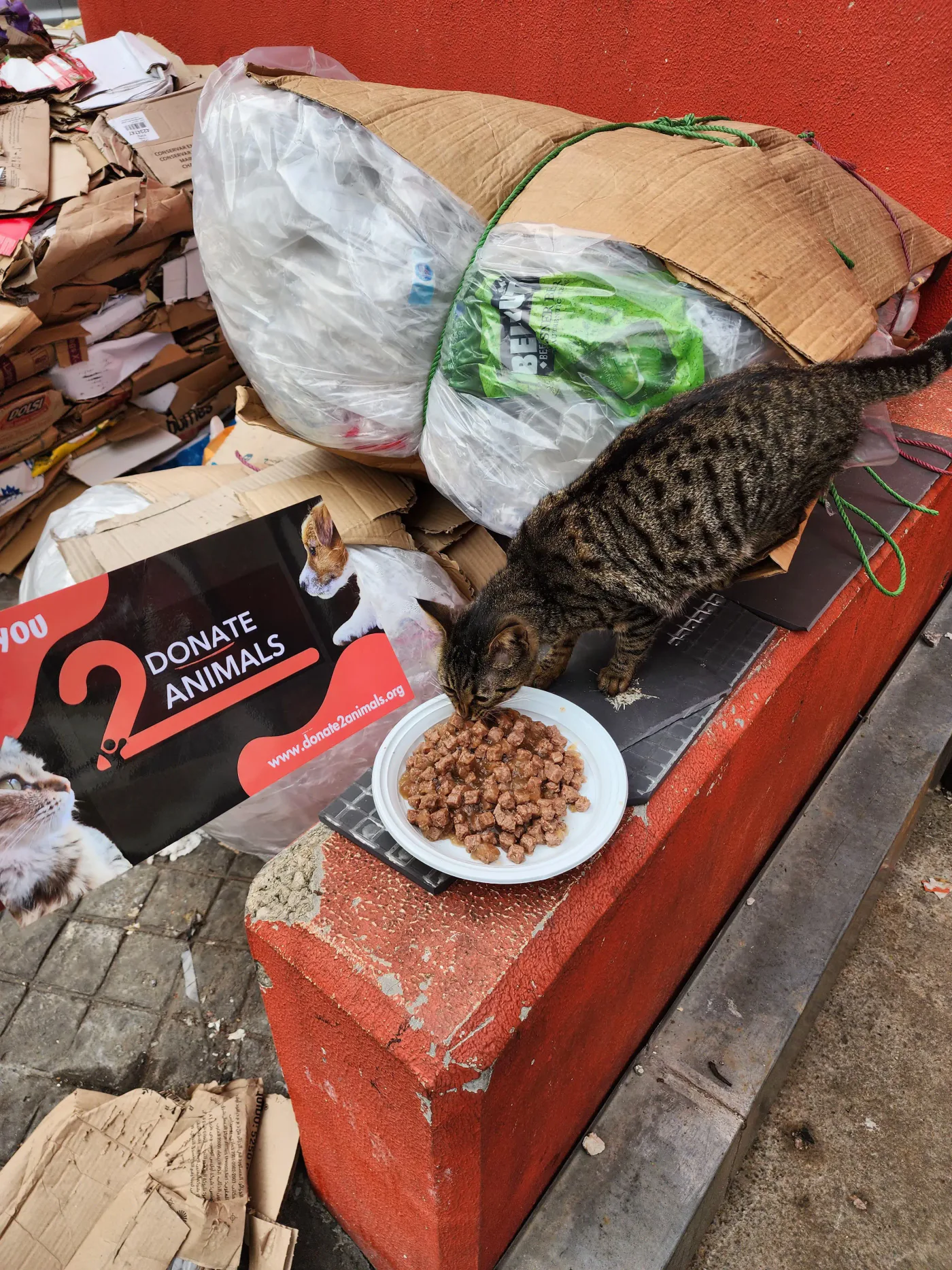Monthly Ethereum donation for pets feeding