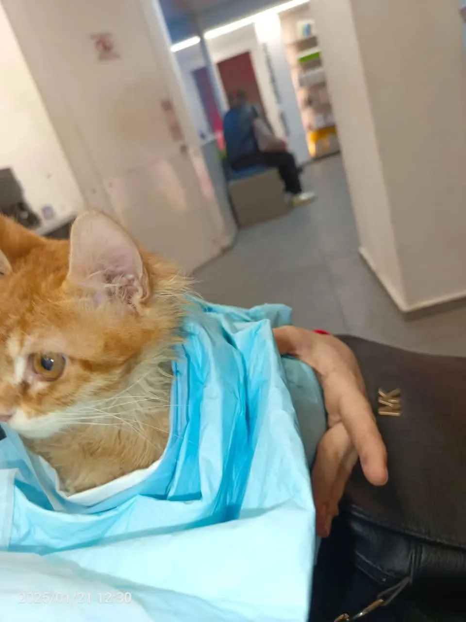 Donate Crypto to Pets — animal in our care