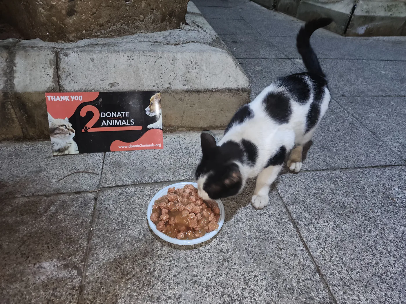 Monthly TRX donation for street animals feeding