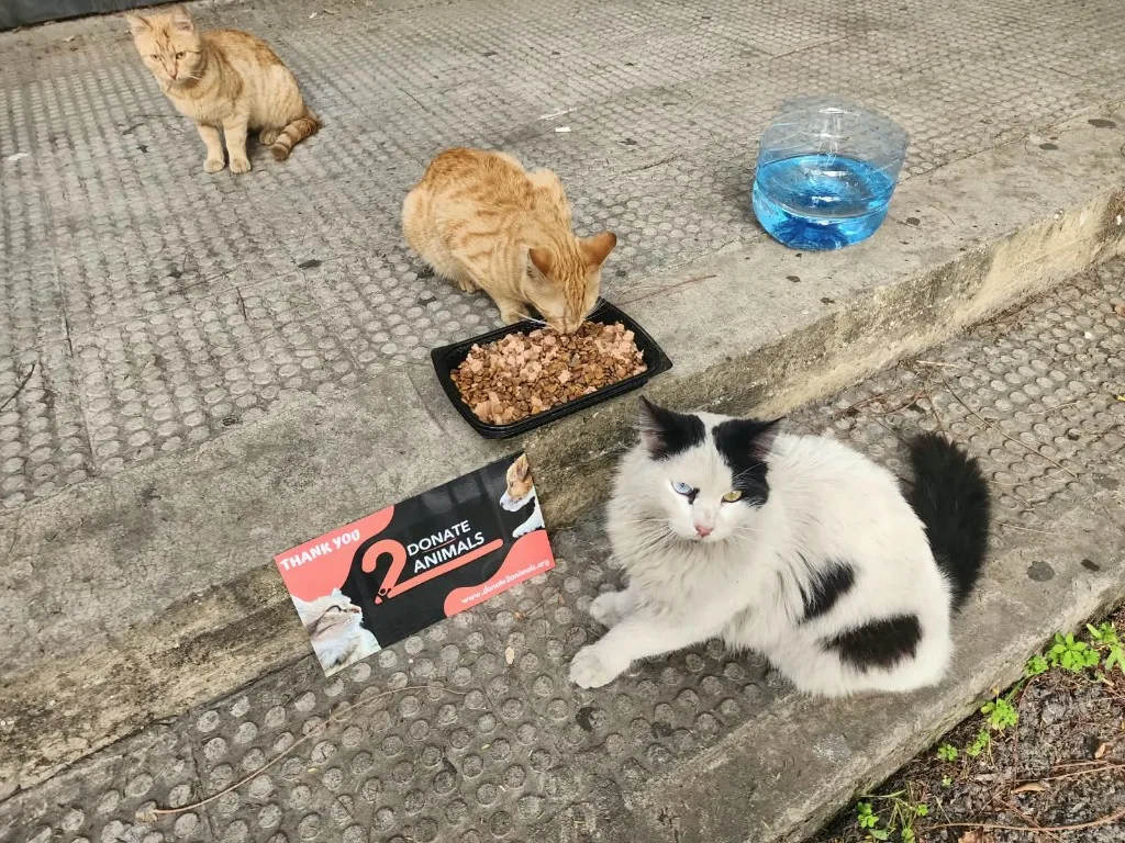 Feeding & Water Program